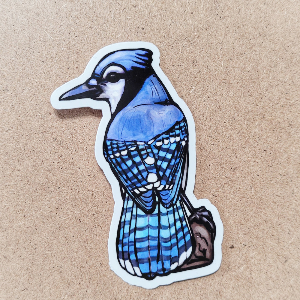 Blue Jay Sticker for Sale by mcm653