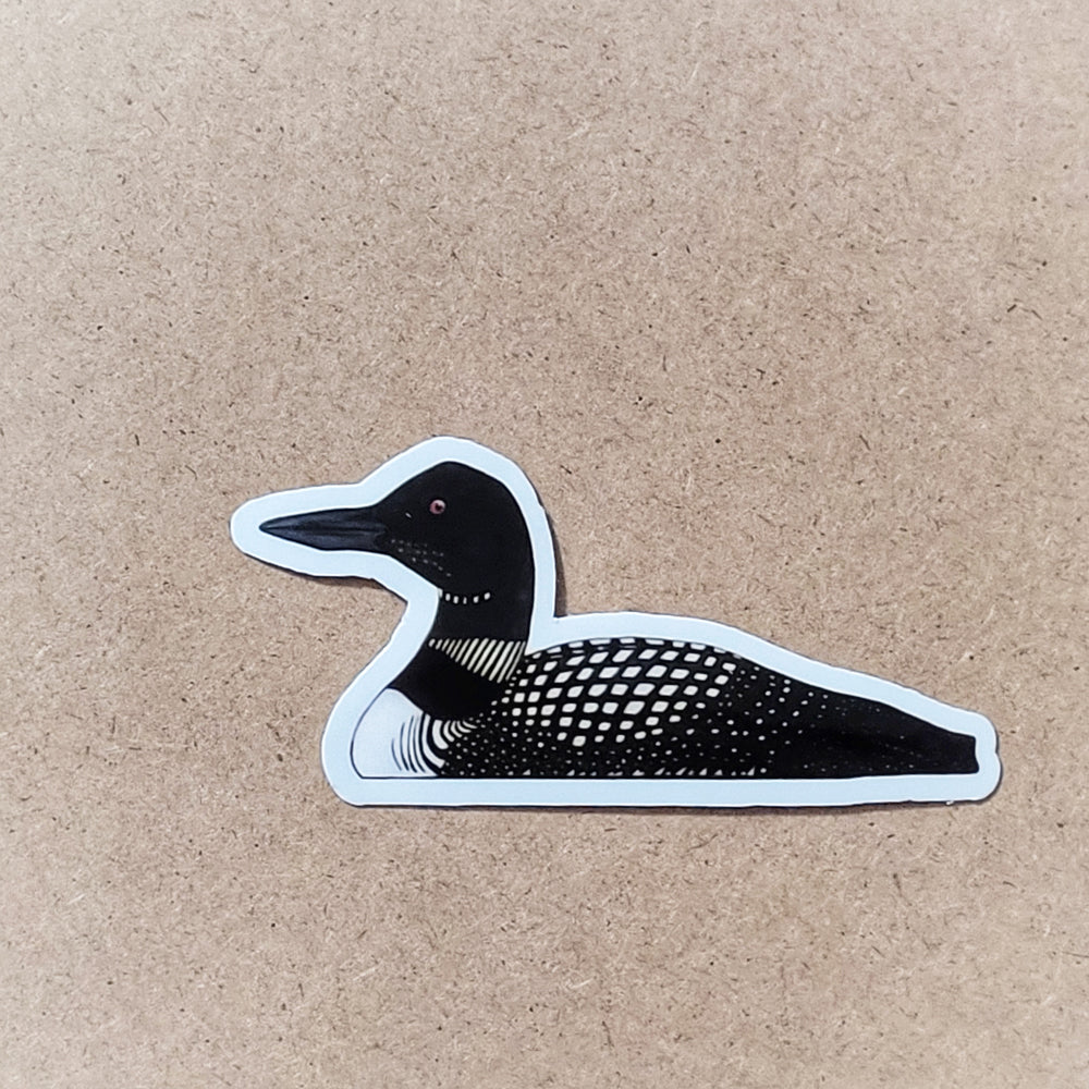 Common Loon 3 inch sticker, COLO Bird
