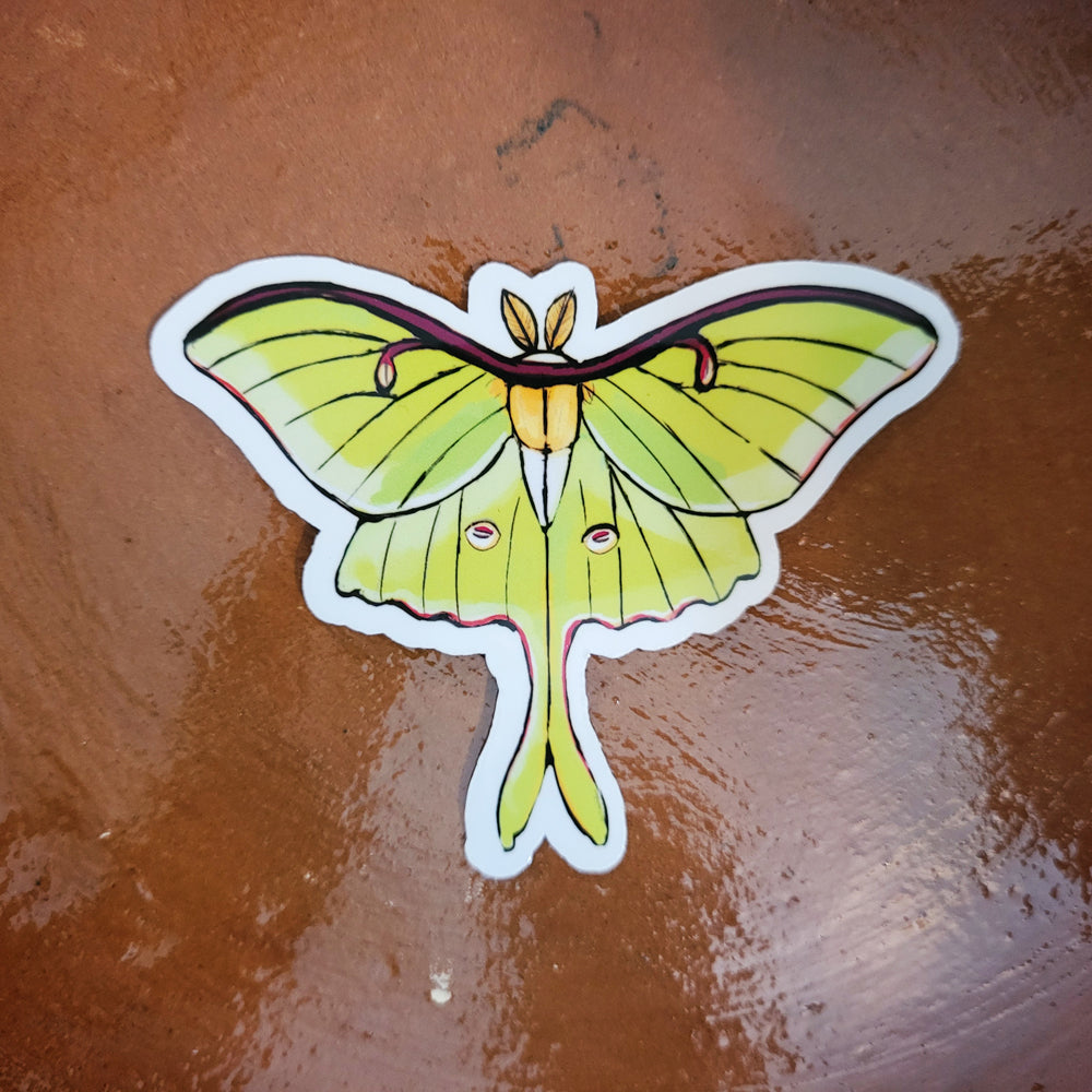 Luna Moth 3 Inch Sticker Insect