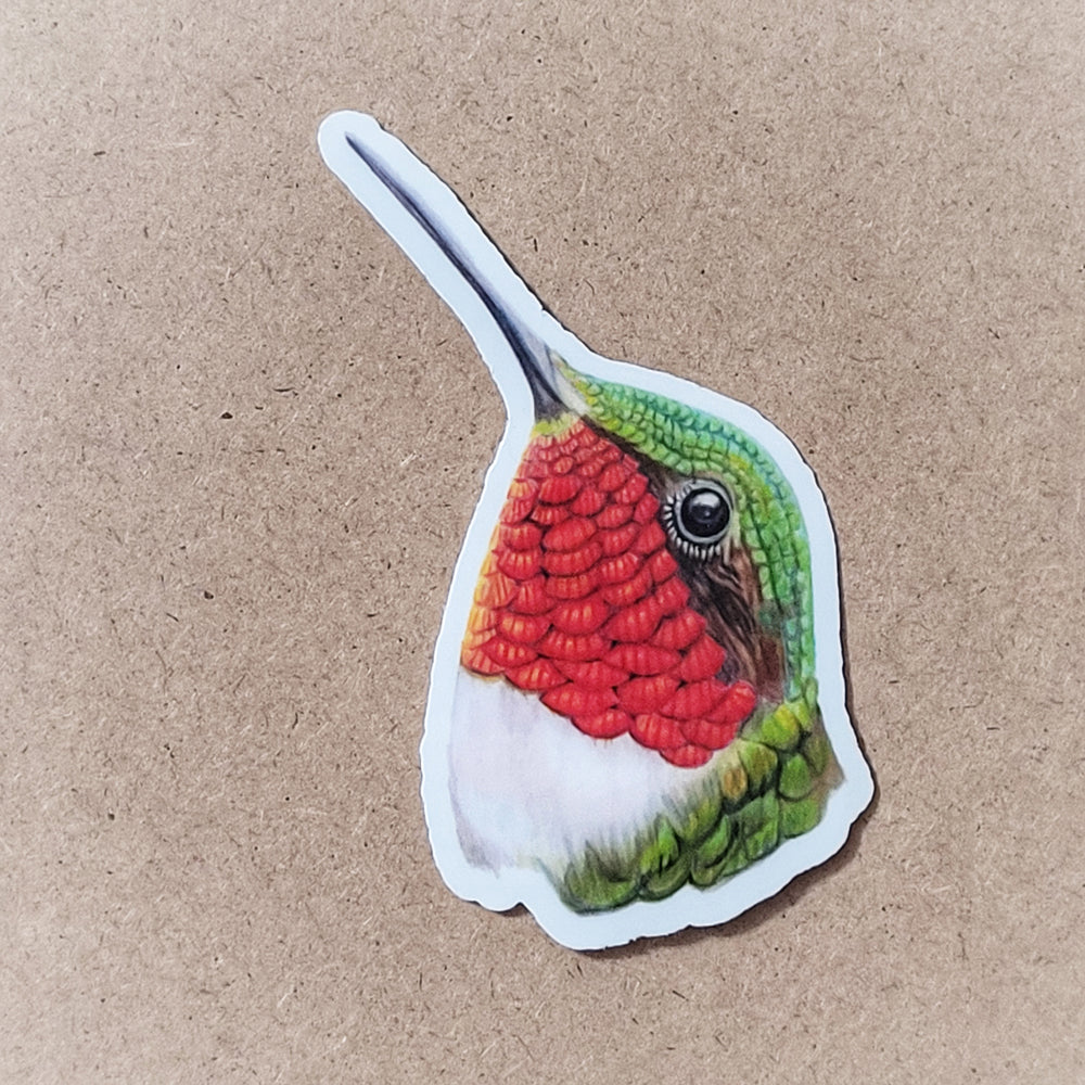 Ruby-Throated Humming Bird, RTHU Bird
