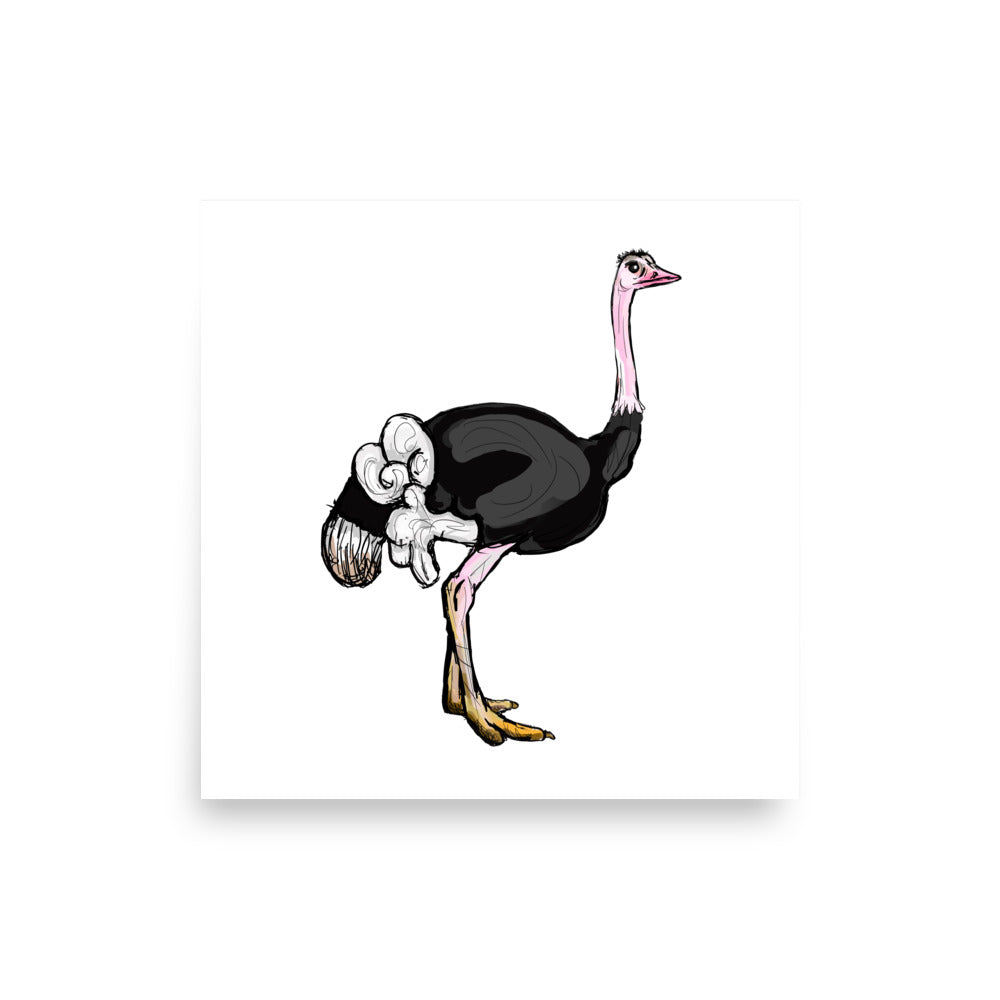 Ostrich Wildlife Illustration Print