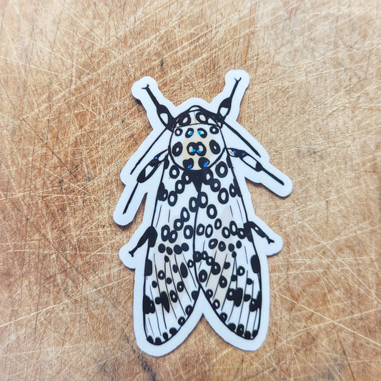 Giant Leopard Moth 3 inch insect sticker