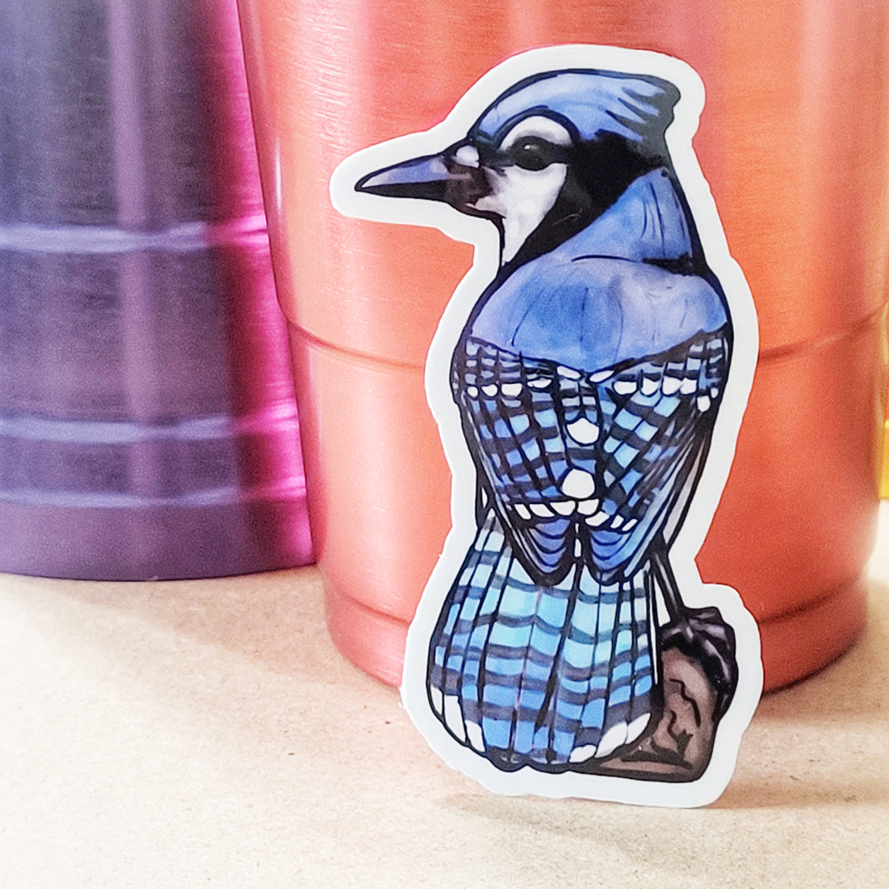 Blue Jay 3 Inch Sticker BLJA Bird
