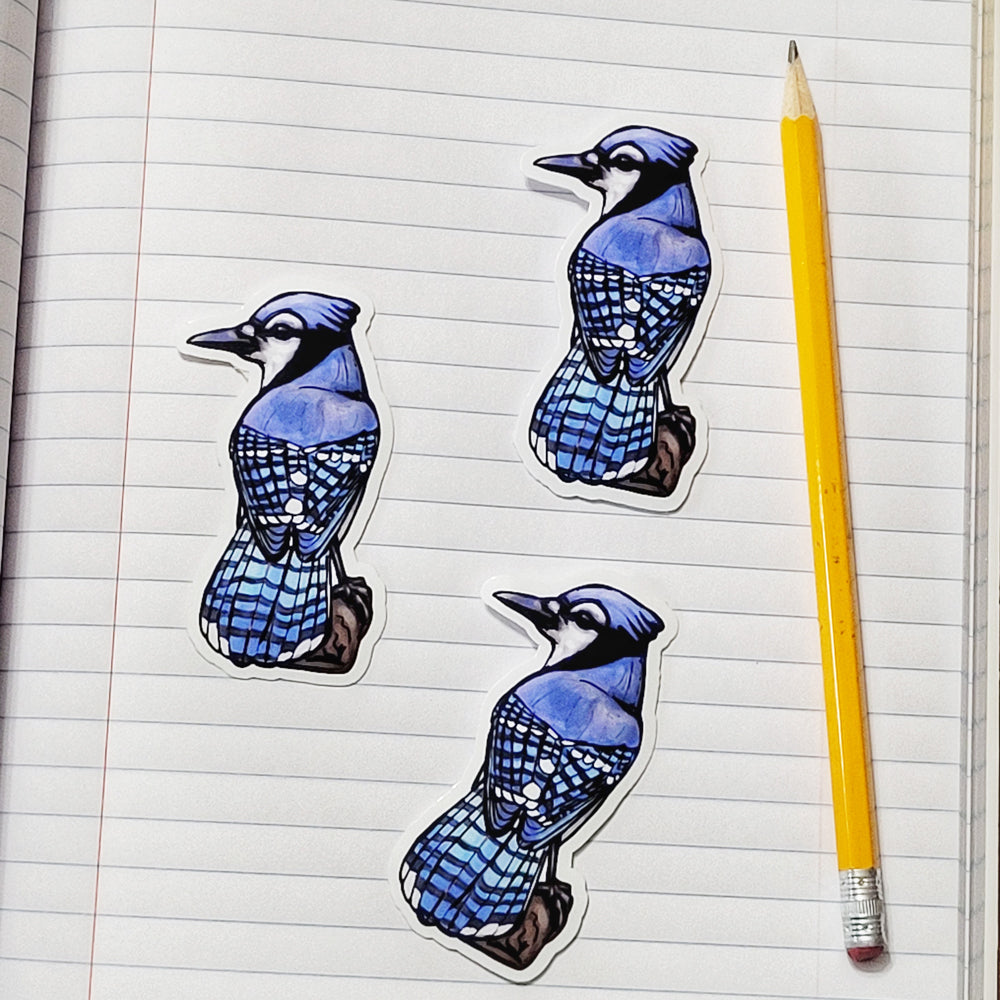 Blue Jay 3 Inch Sticker BLJA Bird