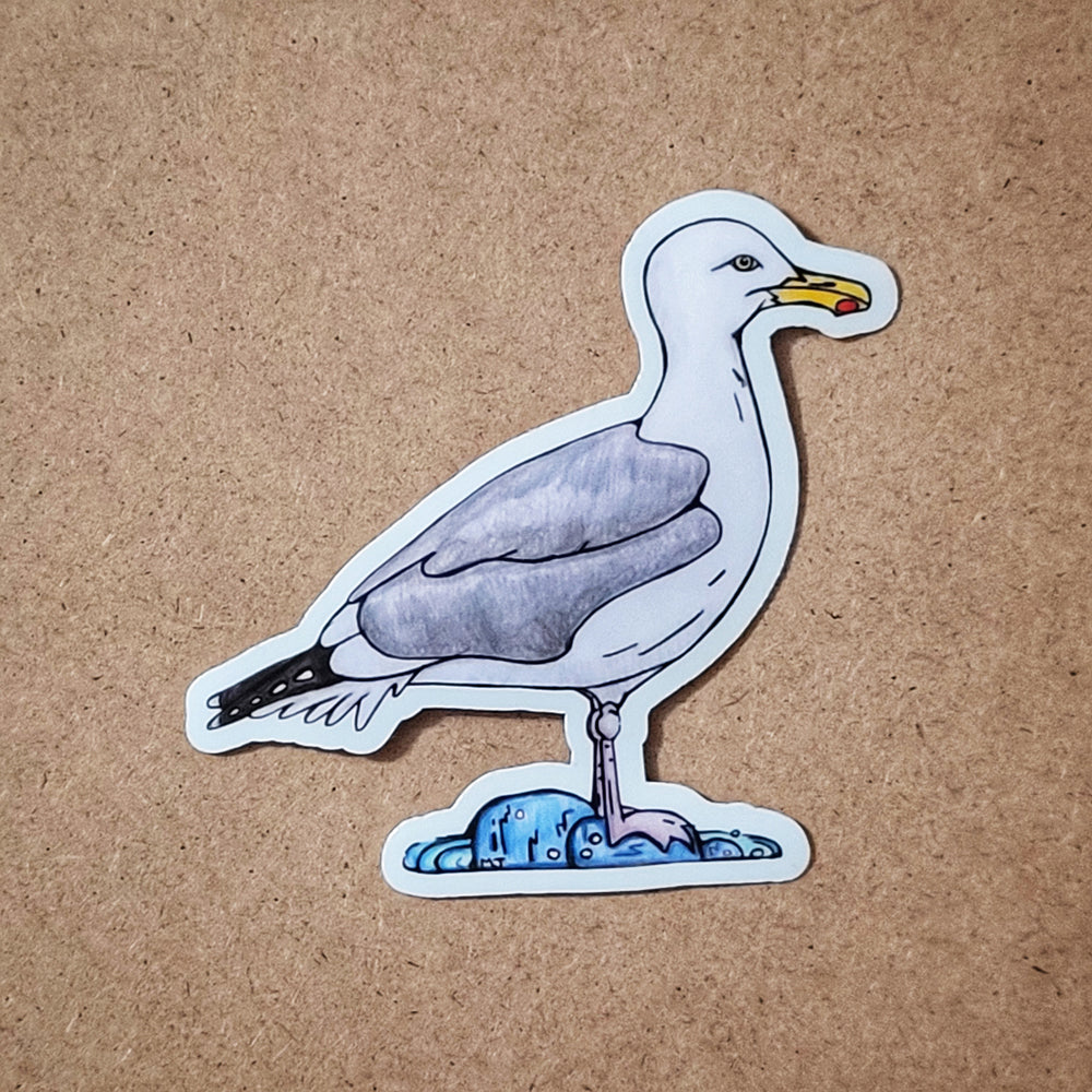 Herring Gull 3 inch sticker, HERG Bird
