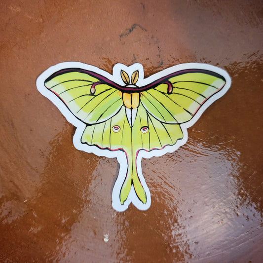 Luna Moth 3 Inch Sticker Insect