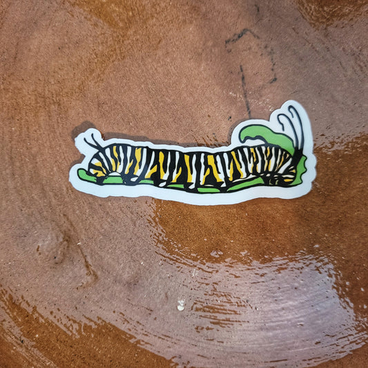 Monarch Caterpillar  Insect 3 inch sticker
