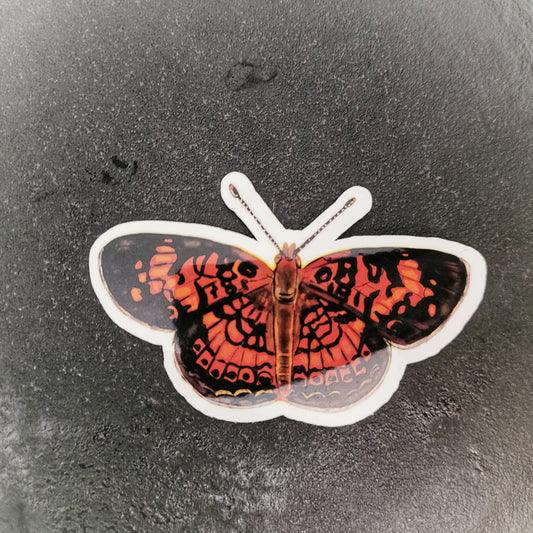 Pearl Crescent Butterfly Insect 3 inch sticker