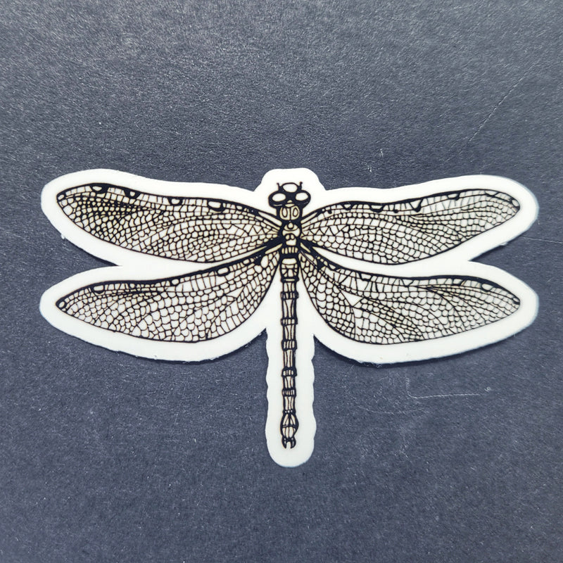Black and White Dragonfly 3 inch insect sticker