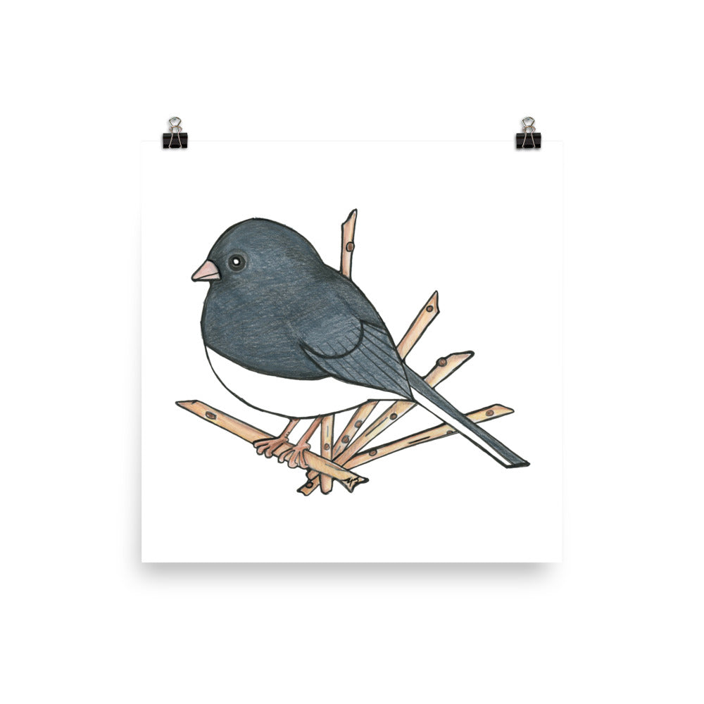 Dark Eyed-Junco Bird Print