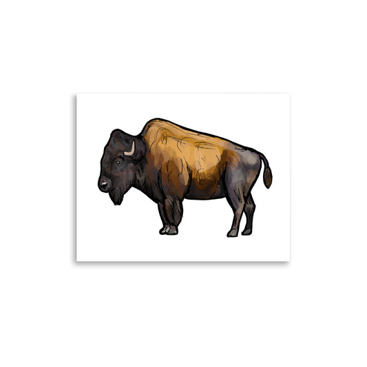American Bison Wildlife Illustration