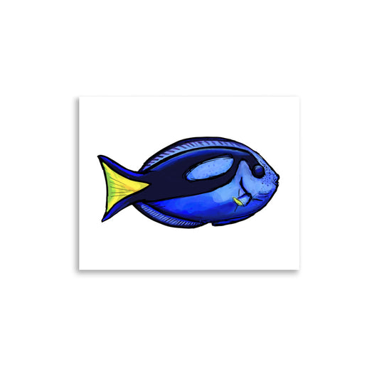 Blue Tang Fish Wildlife Illustration