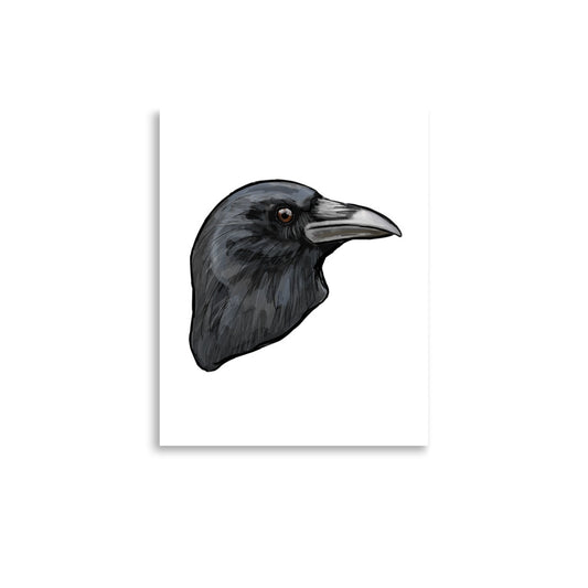 American Crow Bird Illustration