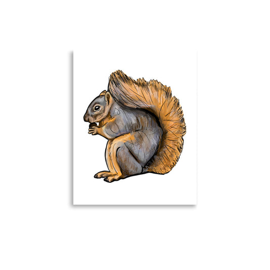 Fox Squirrel Animal Illustration Print