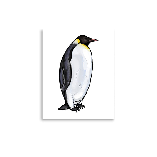 Emperor Penguin Wildlife Illustration Print