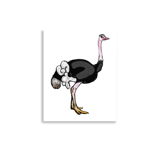 Ostrich Wildlife Illustration Print