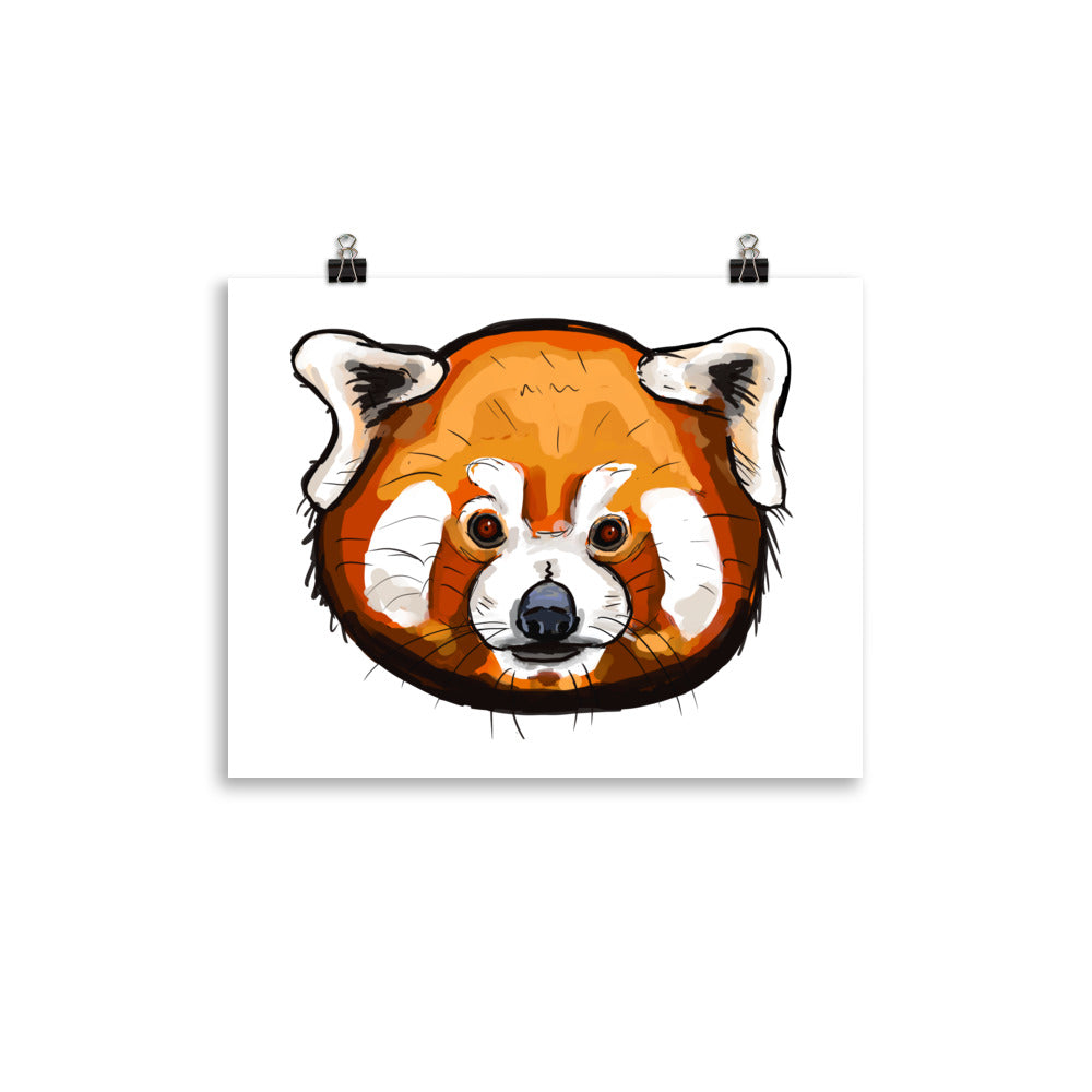 Red Panda Animal Illustration