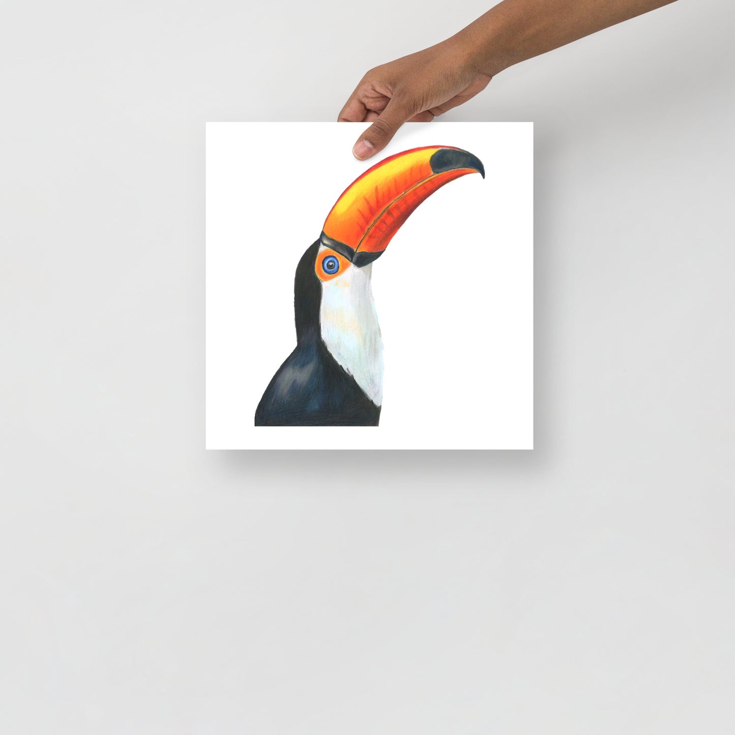 Toco Toucan Bird Print