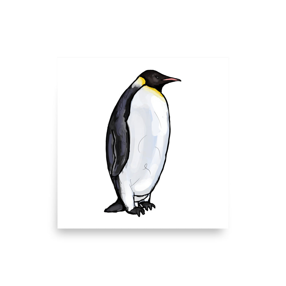Emperor Penguin Wildlife Illustration Print