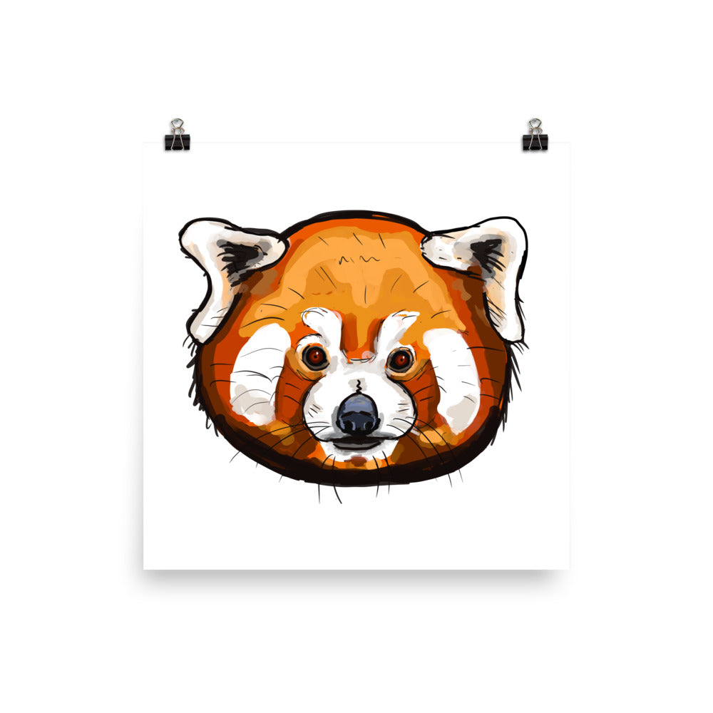 Red Panda Animal Illustration