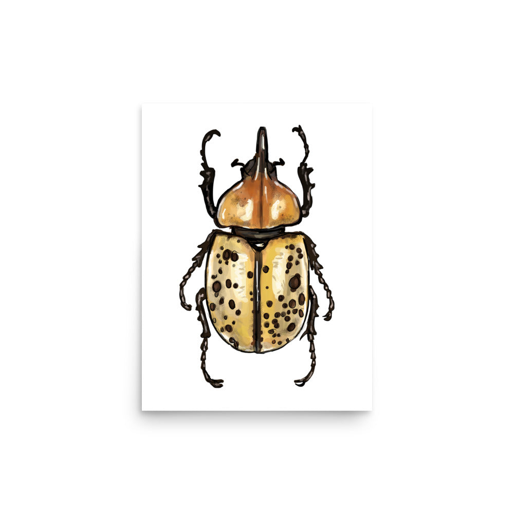 Eastern Hercules Beetle Insect Illustration Print