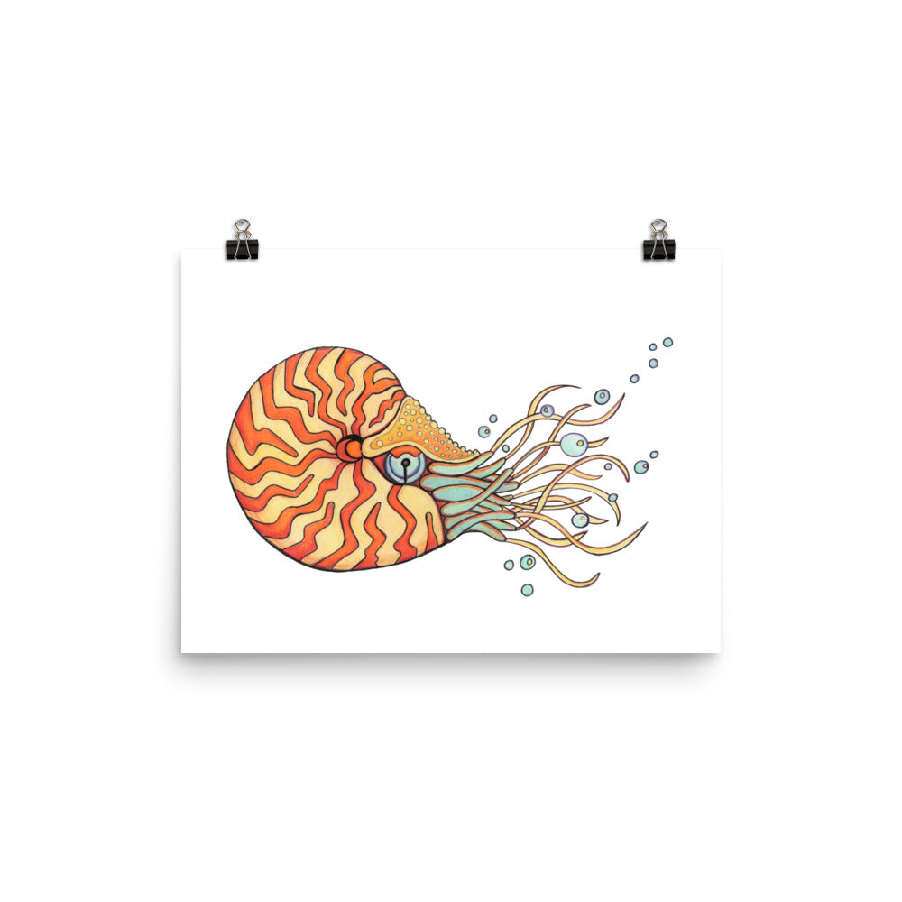 Nautilus Sea Animal Print