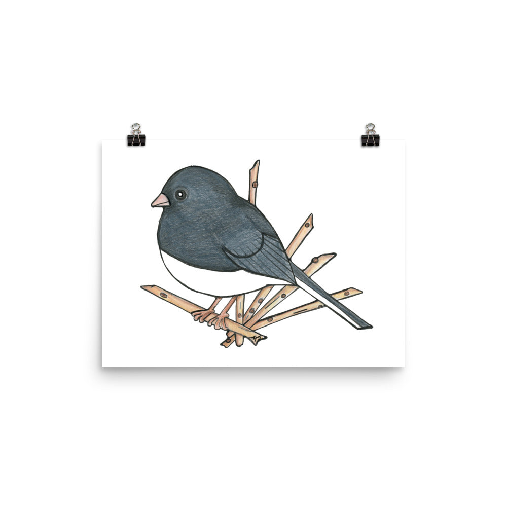 Dark Eyed-Junco Bird Print