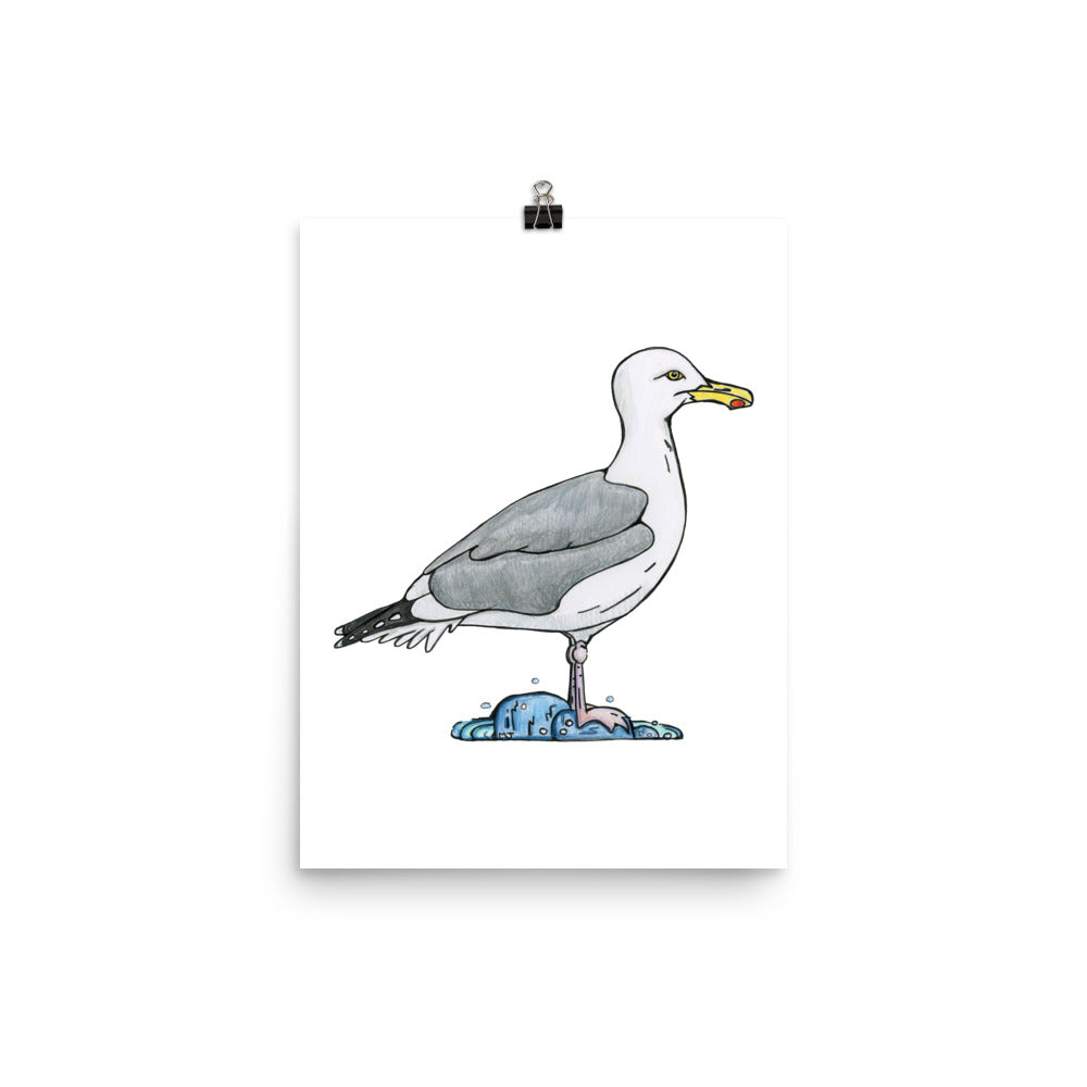 Herring Gull Print