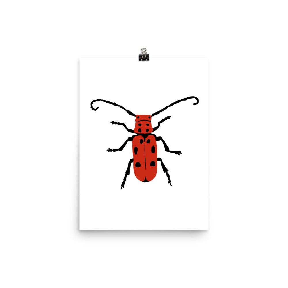 Milkweed Beetle Insect  Illustration