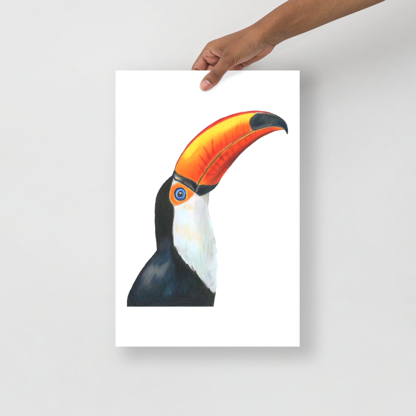 Toco Toucan Bird Print