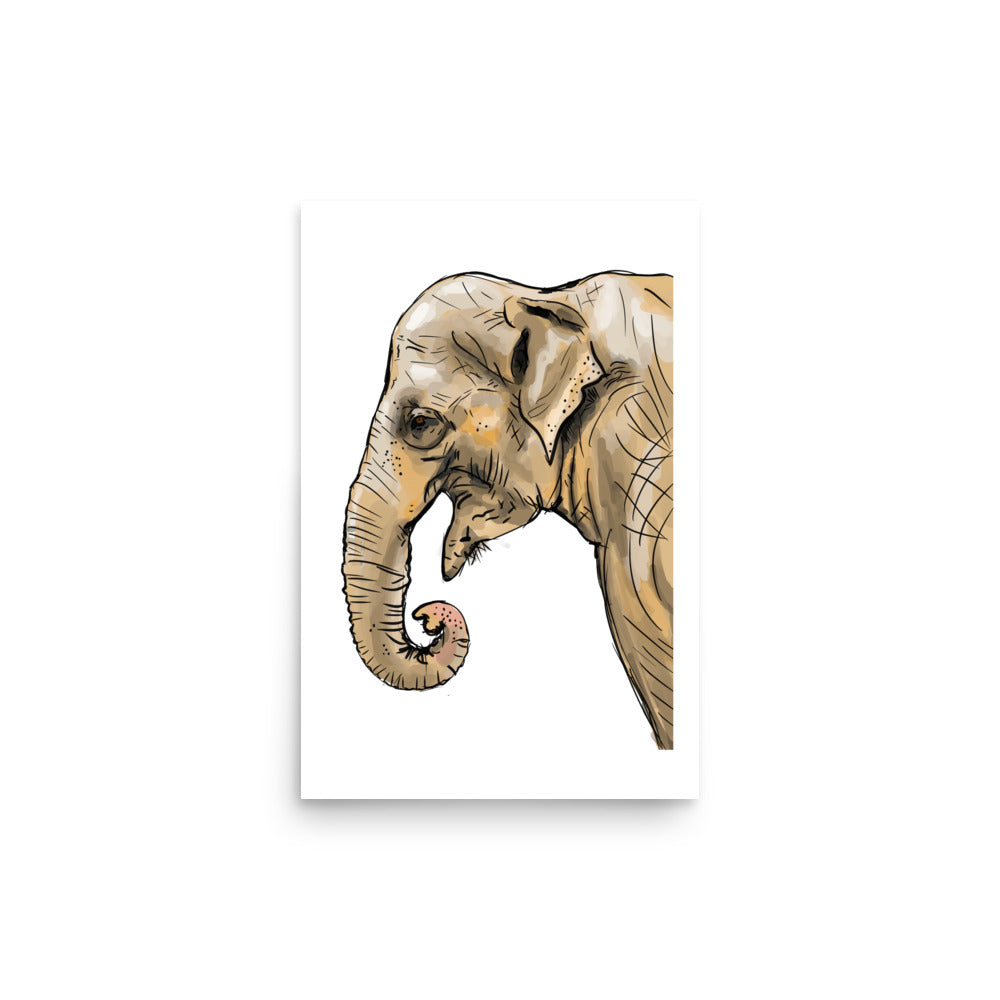 Asian Elephant  Illustration
