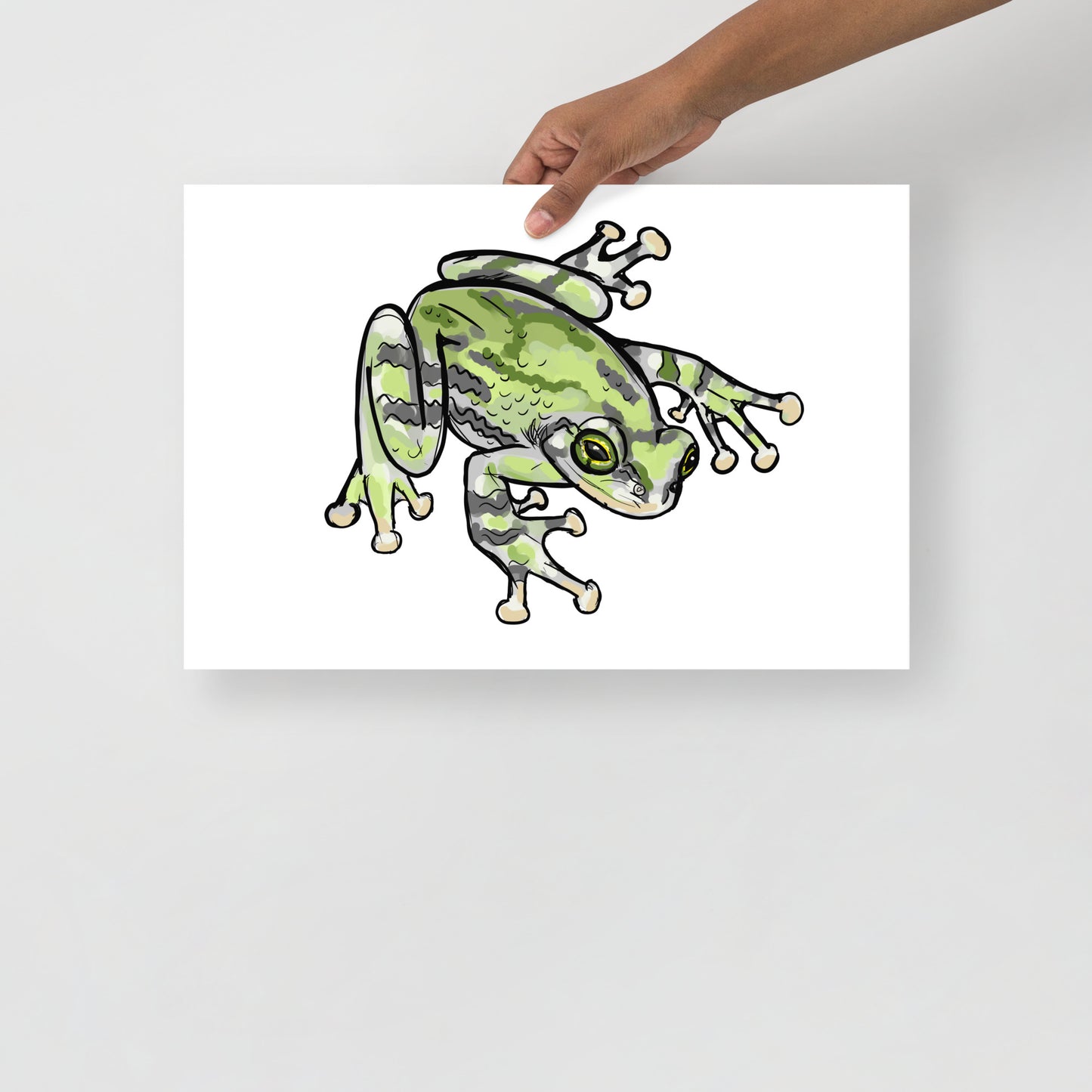 Grey Tree Frog Print