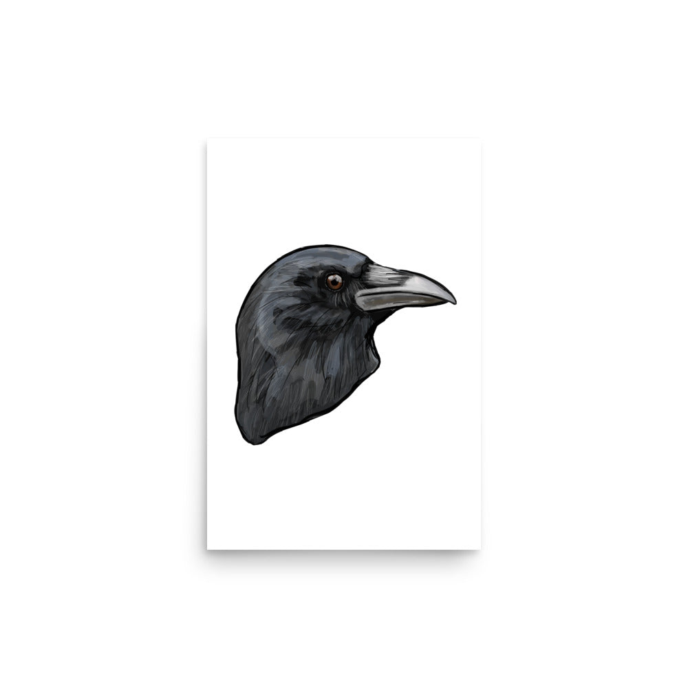 American Crow Bird Illustration