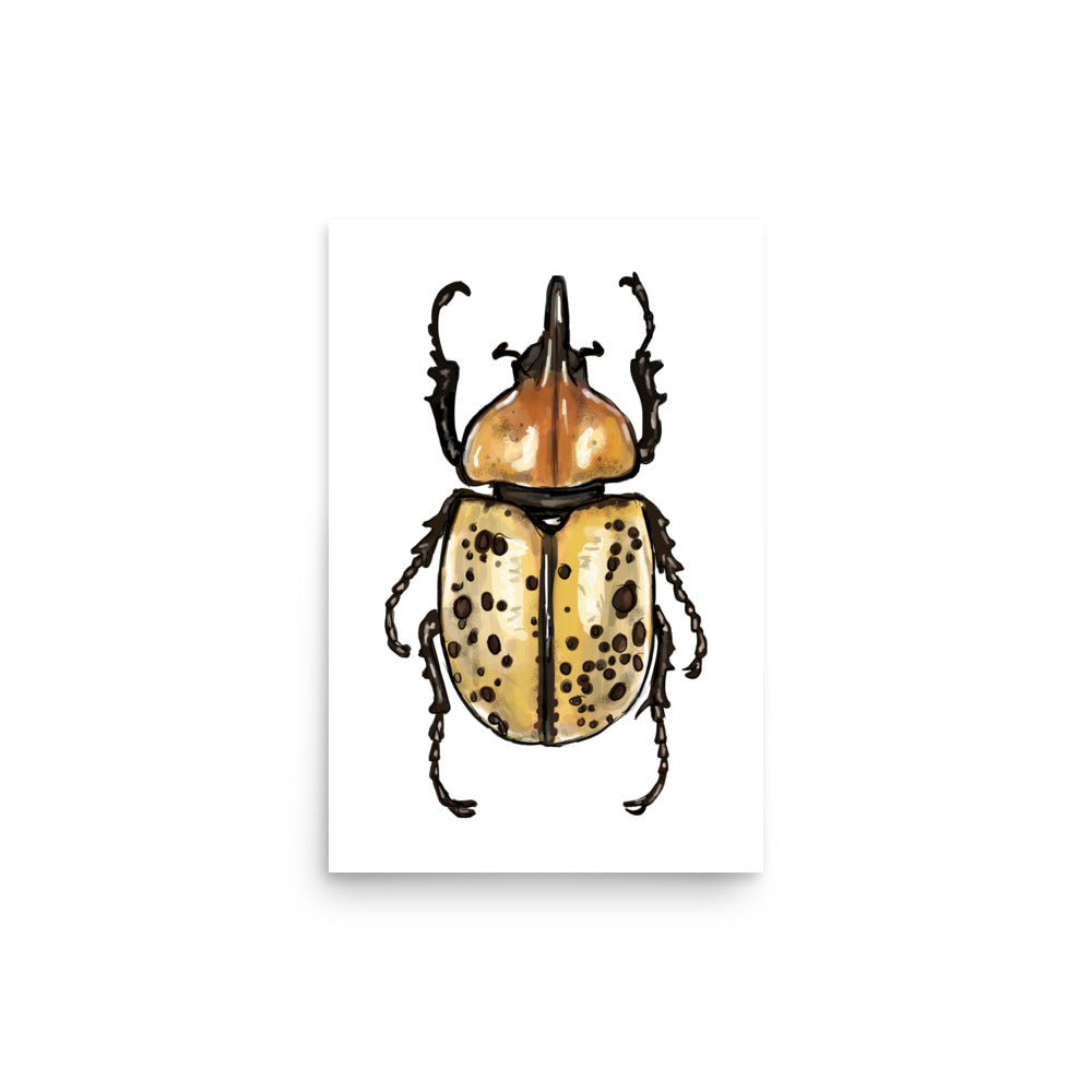 Eastern Hercules Beetle Insect Illustration Print