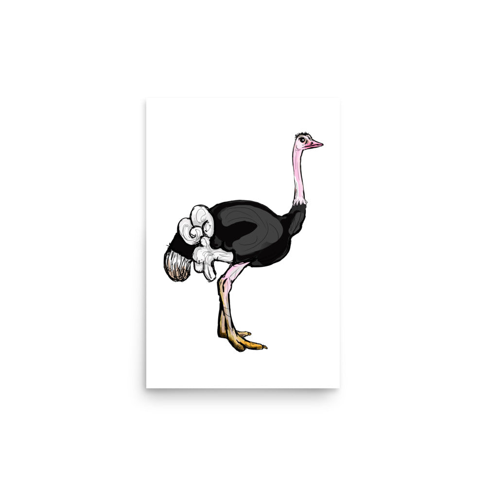 Ostrich Wildlife Illustration Print