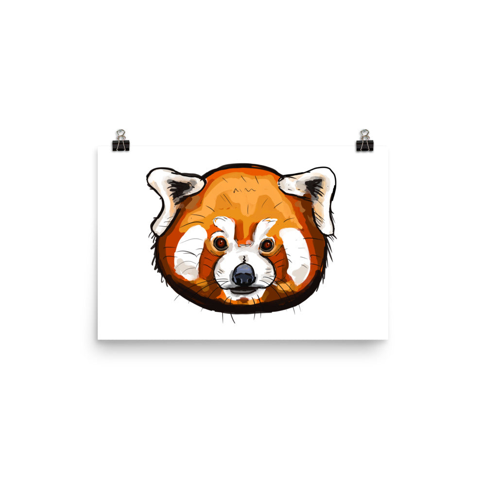 Red Panda Animal Illustration