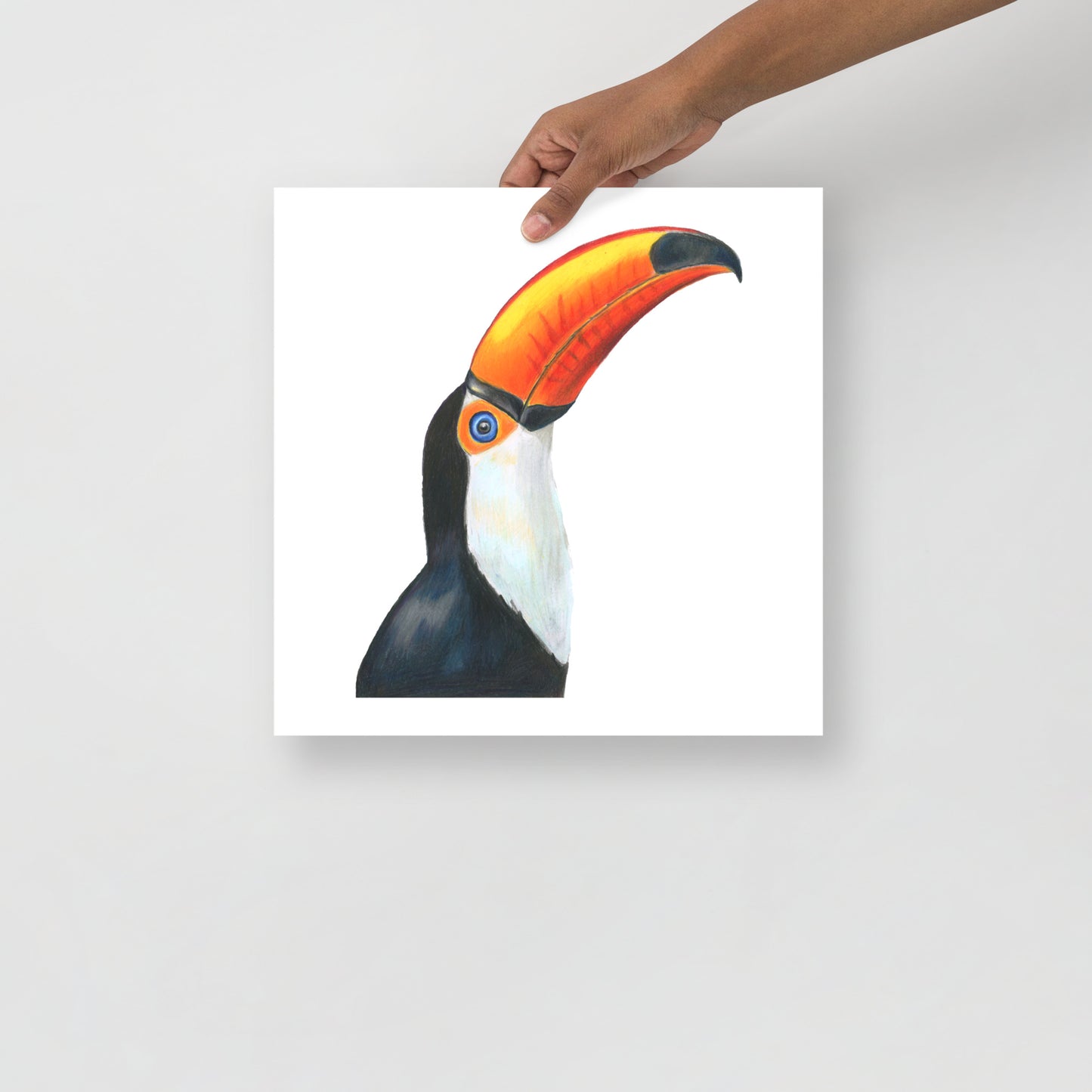 Toco Toucan Bird Print