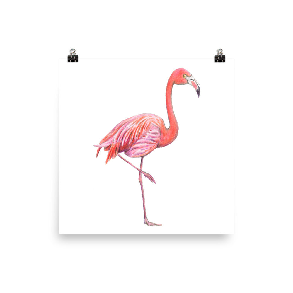 Premium Photo | Pink flamingo bird. ink and watercolor drawing