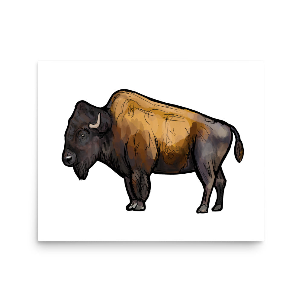 American Bison Wildlife Illustration