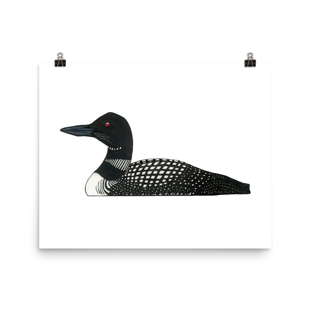 Common Loon Bird Print (COLO)