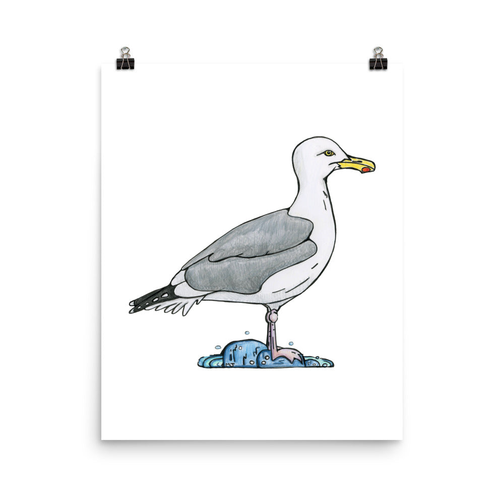 Herring Gull Print