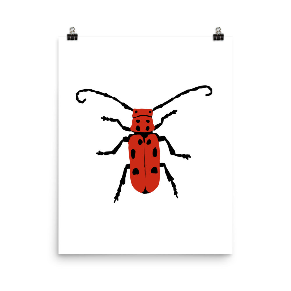 Milkweed Beetle Insect  Illustration
