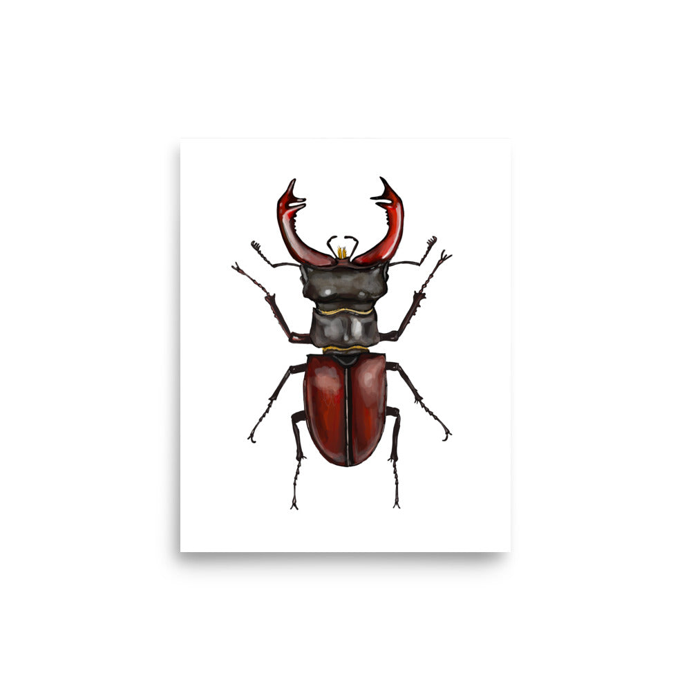 Giant Stag Beetle Insect Illustration Print
