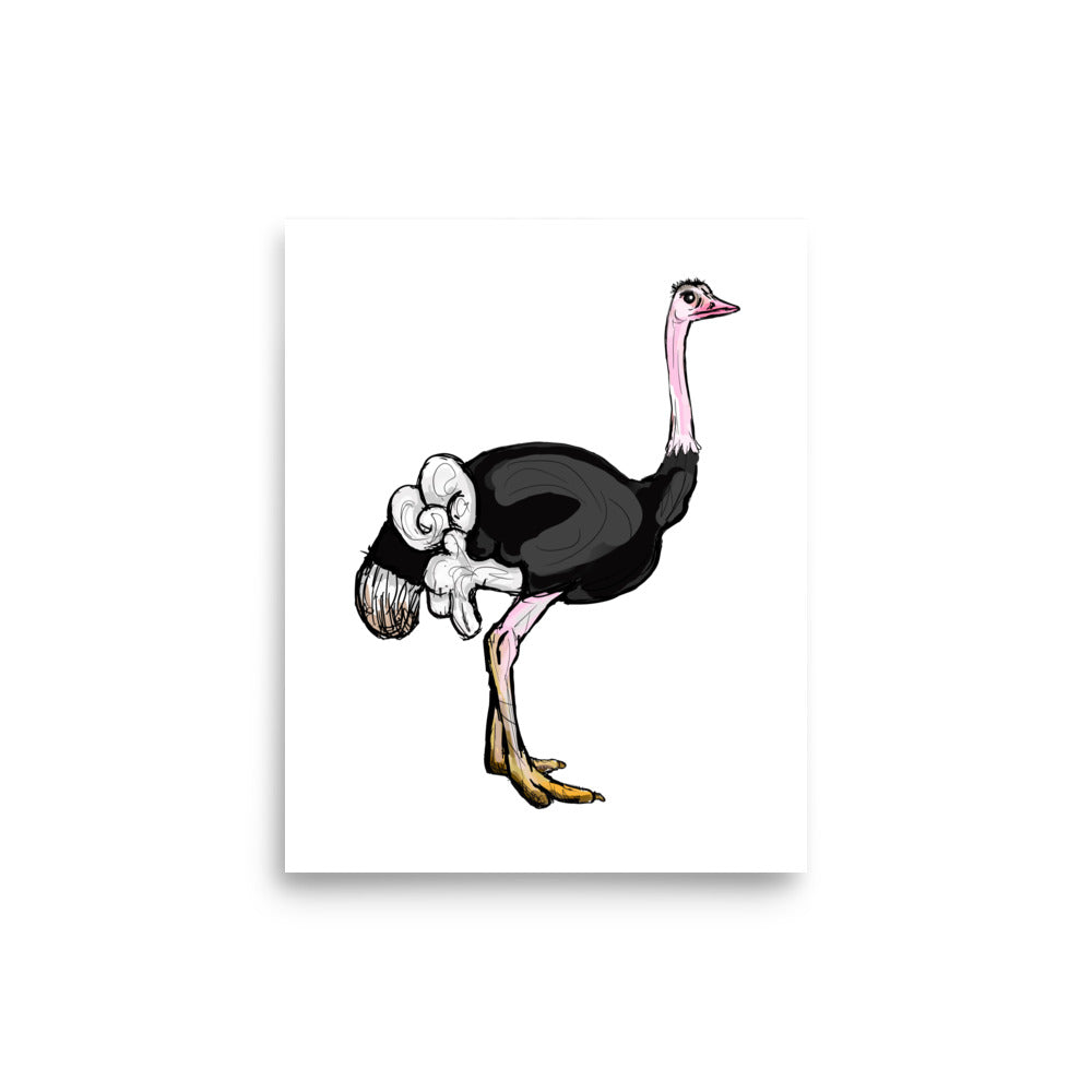 Ostrich Wildlife Illustration Print