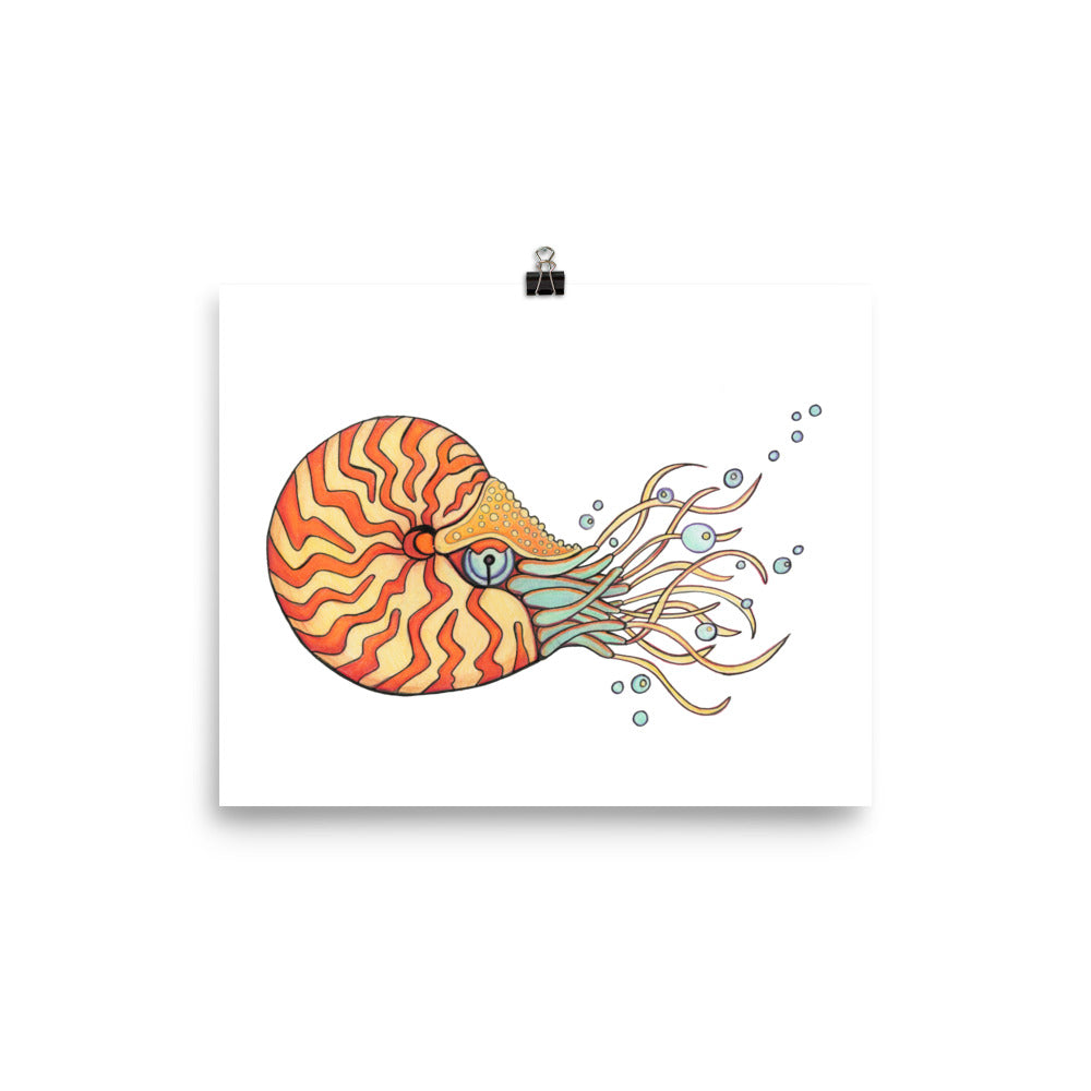 Nautilus Sea Animal Print
