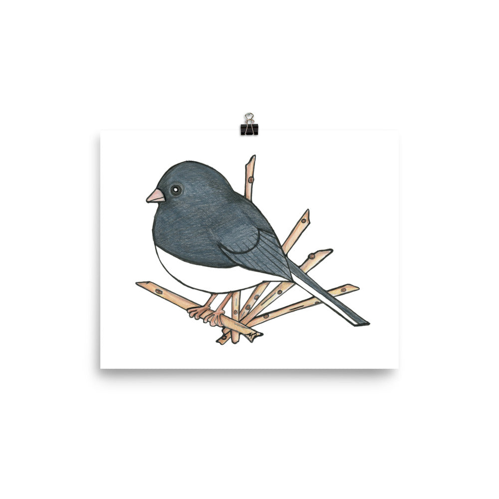 Dark Eyed-Junco Bird Print