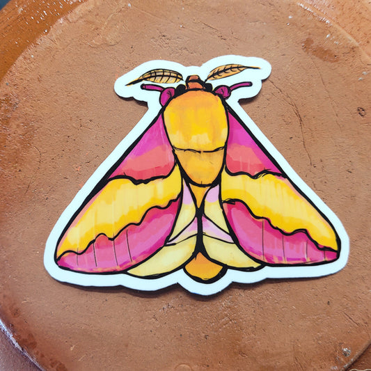 Rosy Maple Moth 3 Inch Insect Sticker