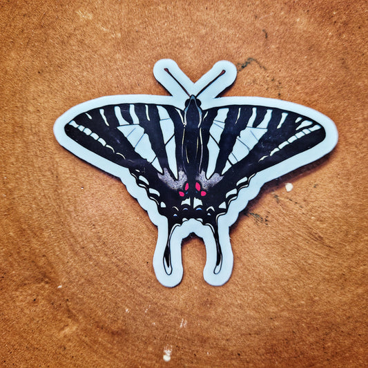 Zebra Swallowtail Butterfly 3 inch insect sticker